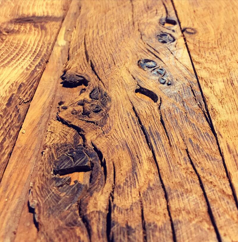 Slice of old oak