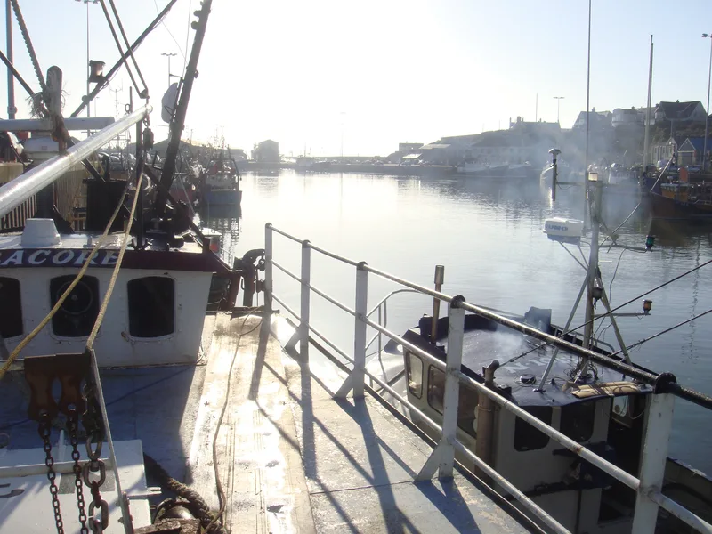 Kilkeel harbour in the sunlight from the top deck of a fishing trawler