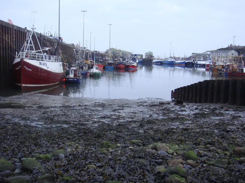 Kilkeel boat harbour at low tide